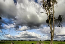 围棋甜心俞俐均晒出游vlog 感受江南的美景美画.